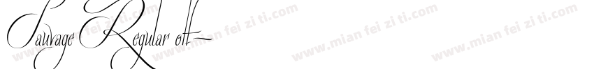 Sauvage Regular otf字体转换